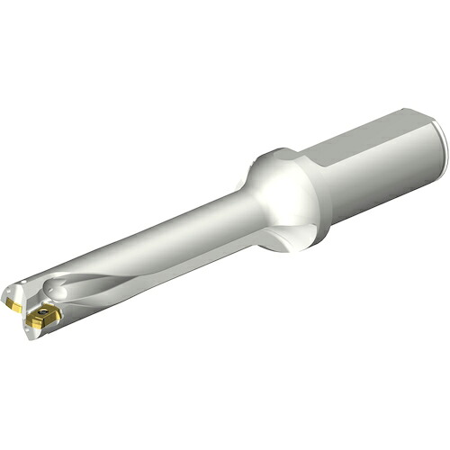 SANDVIK ( サンドビック ) コロドリルDS20刃先交換式ドリル(465) ( DS20-D1850L25-05 (465) )