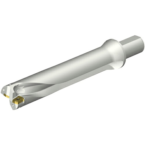 SANDVIK ( サンドビック ) コロドリルDS20刃先交換式ドリル(465) ( DS20-D5080LX38-05 (465) )