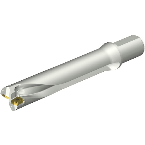 SANDVIK ( サンドビック ) コロドリルDS20刃先交換式ドリル(465) ( DS20-D5400L50-05 (465) )
