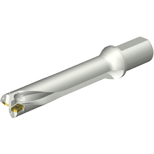 SANDVIK ( サンドビック ) コロドリルDS20刃先交換式ドリル(465) ( DS20-D4500L50-05 (465) )