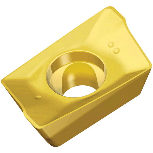 TAEGUTEC ( NTKカッティングツールズ ) ミーリング加工用チップ チェイスミル ( APKT 09T3 PER-EM TT9030 ) 【10個セット】