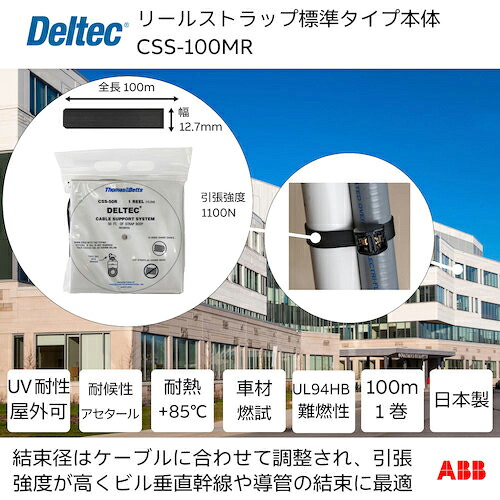 デルテック ( ABB ) リールストラップ 標準尺度手合い 幅12.7mm×木管全長100m ( CSS-100MR )