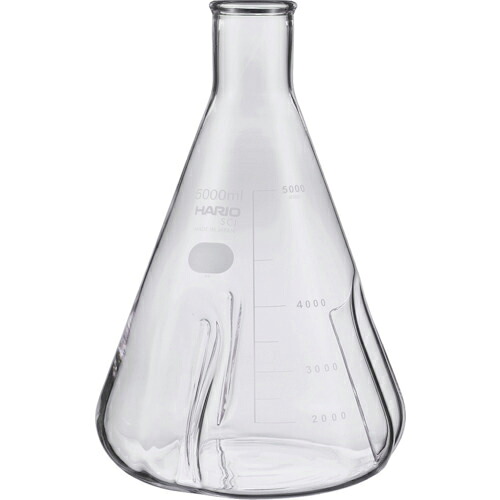 HARIO ( ハリオサイエンス ) バッフル付き三角フラスコ5000ml ( BSF-5L-SCI )