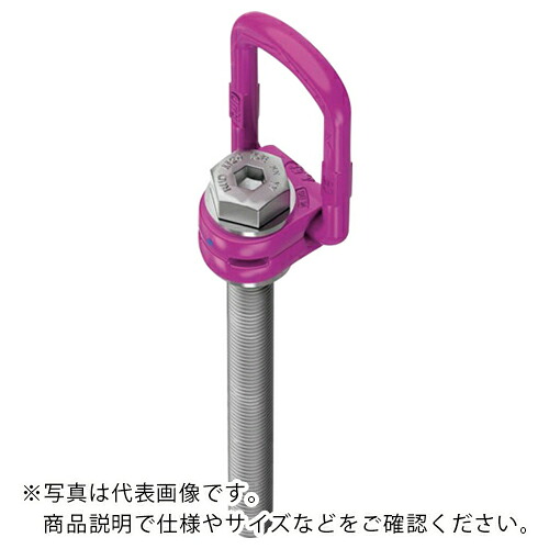 RUD ロードリングプラスロングボルト ( VLBG-PLUS-M10L )