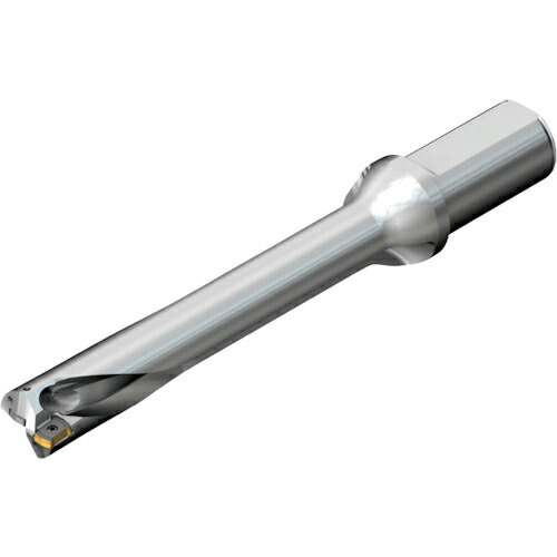 SANDVIK ( サンドビック ) コロドリルDS20刃先交換式ドリル(465) ( DS20-D3800L40-06 (465) )