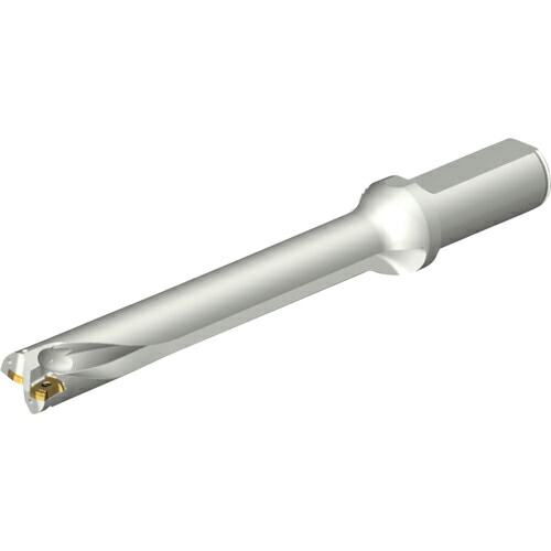 SANDVIK ( サンドビック ) コロドリルDS20刃先交換式ドリル(465) ( DS20-D2100L25-07 (465) )