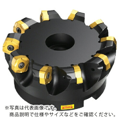 SANDVIK ( サンドビック ) コロミル365カッター(450) ( R365-050Q22-S15H (450) )