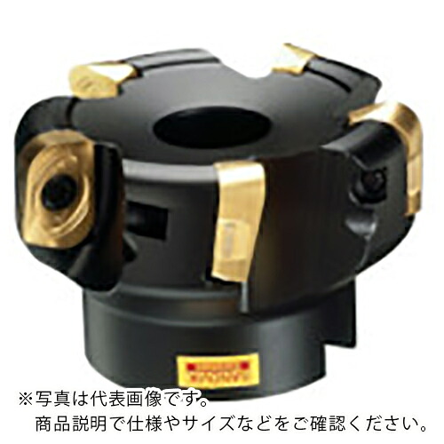SANDVIK ( サンドビック ) コロミル390カッター(450) ( RA390-100J31.75-18M (450) )