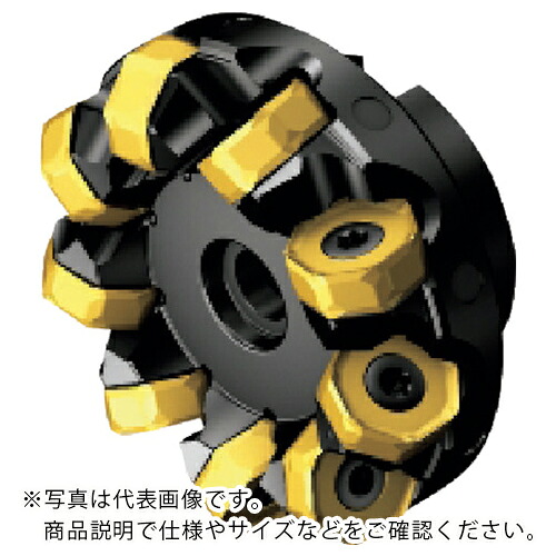 SANDVIK ( サンドビック ) コロミル745カッター(450) ( A745-080J25-21M (450) )