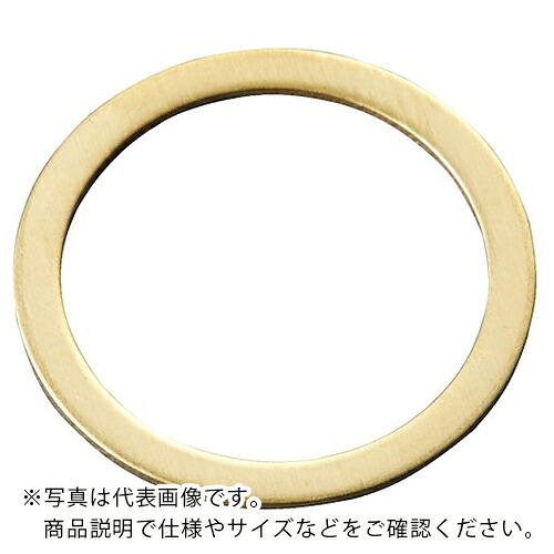 IWATA ( 岩田製作所 ) シムリングCUZN (10枚入)T0.05 ( RB050055005 ) 【メーカー取寄】