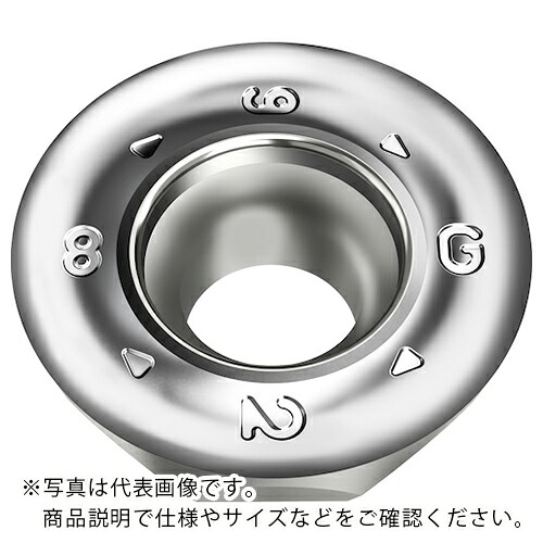 Walter ( ワルター ) ミーリング産業用 丸駒ポジ手当て WK10 ( ROGX2006M08-G88 WK10 ) 【10個仕かける】 【製造会社取寄】