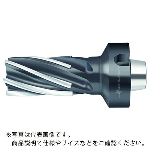 Walter ( ワルター ) ろう付けヘリカル溝削りエンドミル ( F1682.N8.063.Z06.100.K ) 【メーカー取寄】