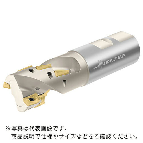 ワルター ポーキュパインカッター ( F4238.UW31.038.Z03.57 )