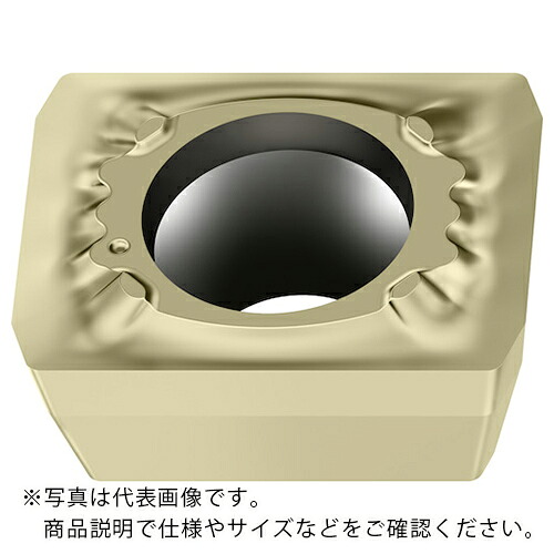 Walter ( ワルター ) 矩形 WSP45G ( LCMX06T204-B57 WSP45G ) 【10個仕かける】 【製造業者取寄】 その他-花・ガーデン・DIY
