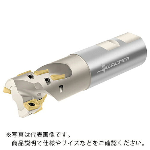 ワルター ポーキュパインカッター ( F4038.W25.025.Z02.30 )
