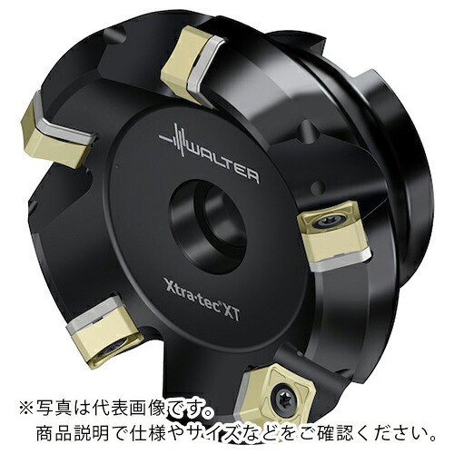 ワルター フェイスミルカッター M5009-Bボア穴タイプ 4枚刃 ( M5009.051-B19-04-06-AP )