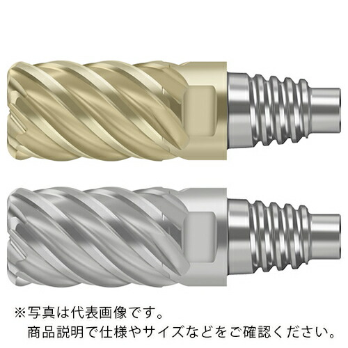 Prototyp ( ワルタージャパン ) 超硬エンドミル ( MD128-16.0E6X100-WJ30RD )