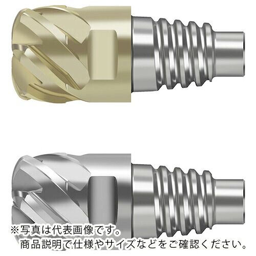 Prototyp ( ワルタージャパン ) 超硬高送りエンドミル MD025 ( MD025.9.53E5P152-WJ30RA )