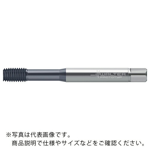 Prototyp ( ワルタージャパン ) HSS-E-PM 転造水道栓 ( TC430-M10-C1-WW60EL ) 【製造業者取寄】