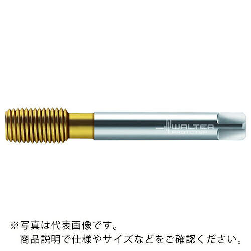 Prototyp ( ワルタージャパン ) HSS-E-PM 転造飲み口 ( TC420-M12-NF-WW60AD ) 【製造会社取寄】