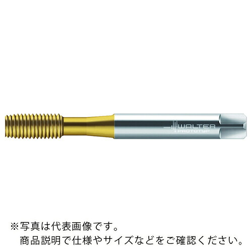 Prototyp ( ワルタージャパン ) HSS-E 転造タップ ( TC410-M2-F0-WY80AD )