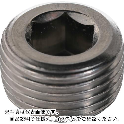 TRUSCO ( トラスコ中山 ) テーパープラグ 沈み ステンレス PT3/8 40本入 ヘキサゴンパック ( S080-0318 )