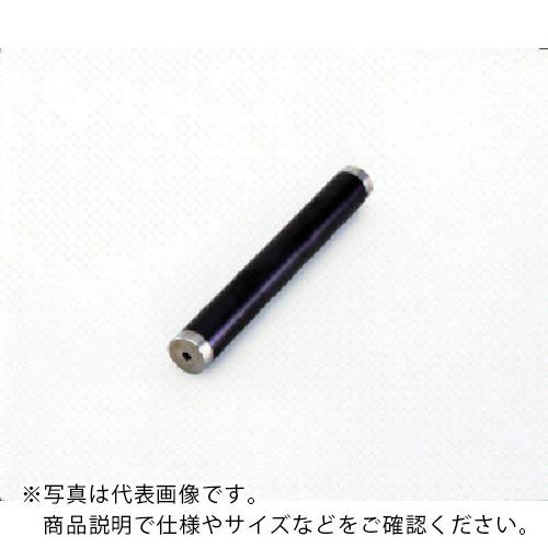 カネテック 耐摩耗サニタリーマグネット棒 タップ穴付 長さ95mm ( PCMB2-J10A ) ( TBG46 )