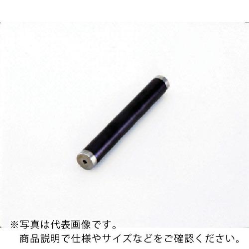 カネテック 耐摩耗サニタリーマグネット棒 タップ穴付 長さ295mm ( PCMB2-J30A ) ( TBG50 )