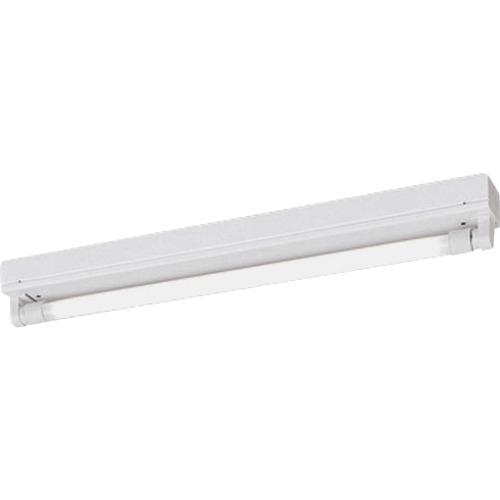 岩崎 ( 岩崎電気 ) LDL20×1灯用トラフ形 調光形 ( ELT20101APX9 ) 【メーカー取寄】