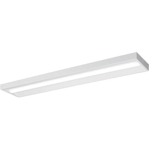 岩崎 ( 岩崎電気 ) LEDベースライト 直付 一般 非調光 ( ELD45201DNPN9 ) 【メーカー取寄】