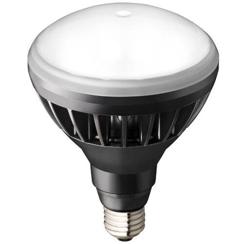 岩崎 ( 岩崎電気 ) LEDアイランプ11Wタイプ(本体:黒色 光色:昼白色) ( LDR11N-H/B850A )