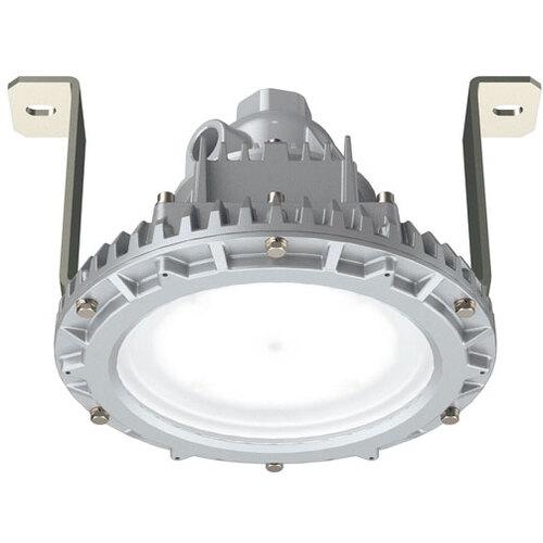 岩崎 ( 岩崎電気 ) 安全増防爆形LED照明器具特殊直付形 ( EYIL9031ASA9-22 ) 【メーカー取寄】