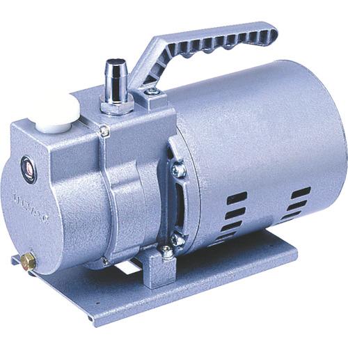 アルうしろ側 単相100V 油回転させる無意味さ揚水機 ( G-25SA )