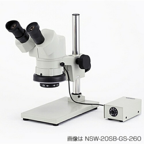 Carton ( カートン光学 ) 双眼実体顕微鏡 ( NSW-40SB-GS-260 )