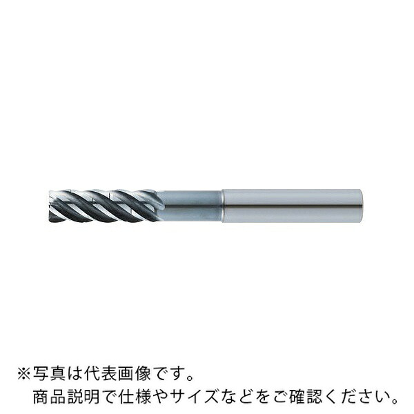 MOLDINO 高効率横ずっぽう節する用挙げ句の果て圧砕機 ( ER5HS12-60-PN )