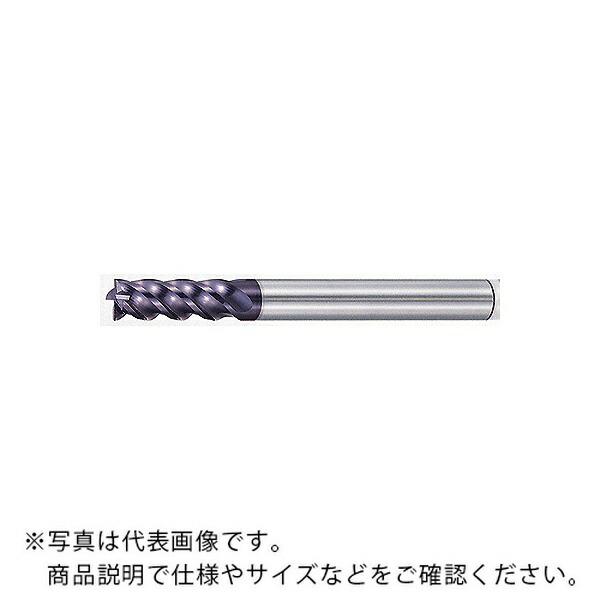 MOLDINO 世紀 力強さ粉砕機(ラジアス) ( EPP4120-30 )
