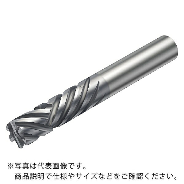 サンドビック コロミルプルーラ2 【F】 ( 2P460-1000-NA 1630 ) 花・ガーデン・DIY-その他