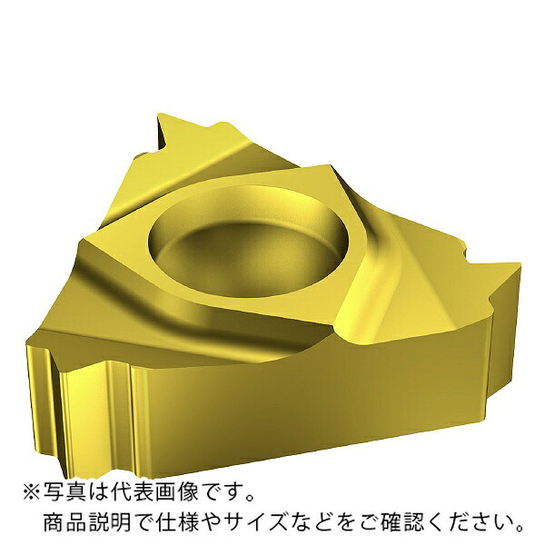 サンドビック T-MaxUロック チップ 【C】 ( R166.0L-11MM01-100 1020 ) 【10個セット】