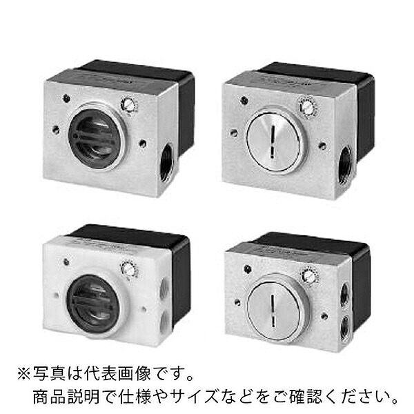 TAIYO デジタルフロースイッチ ( DFS3-1000-DC24V )