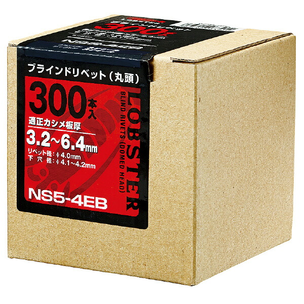 ロブテックス リベット(100本入) ( NS812EB )