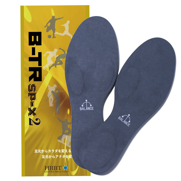 BALANCE工房 バランス工房 二代目楽座衛門 二つ折り可能な座布団タイプ 楽天市場】BLANCE工房 バランス工房 二代目楽座衛門 二つ折り