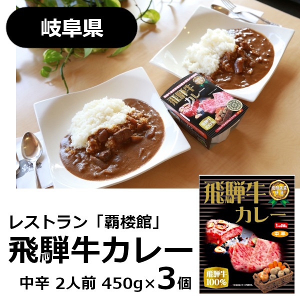 くすみ水色 飛騨牛カレー レトルト 110個 セット - 通販 - www