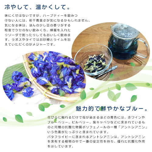 バタフライピー 1g 包 ティーバックbutterfly Pea ハーブティー ちょうまめ茶 アンチャンティー 青い花 2袋までメール便送料無料 Sns インスタ 人気 ギフト 贈答 リトマス試験紙氷 カキ氷 Educaps Com Br