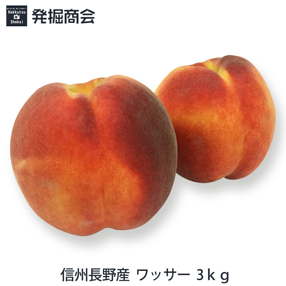 長野県産　ワッサー　約5kg 長野市場直送 海谷さんちの長野県中野市産 早生ワッサー 5kg