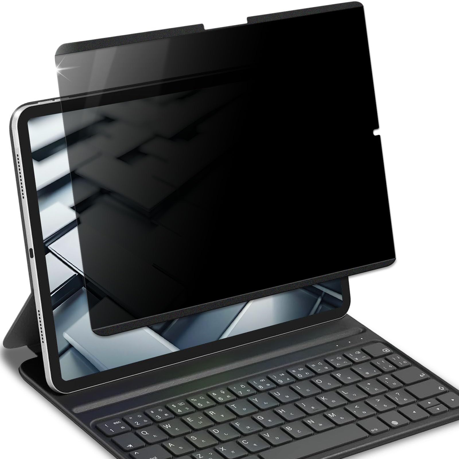 Lifeinnotech iPad pro 11インチ M4 2024年用 のぞき見防止 マグネット式 のぞき見防止 プライバシーフィルター 保護フィルム ブルーライトカット
