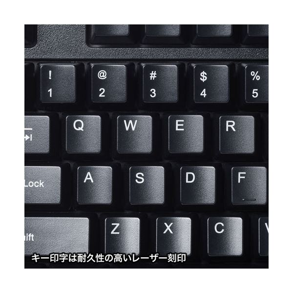 サンワサプライ 英語USBキーボード SKB-E5UBK マウス・キーボード