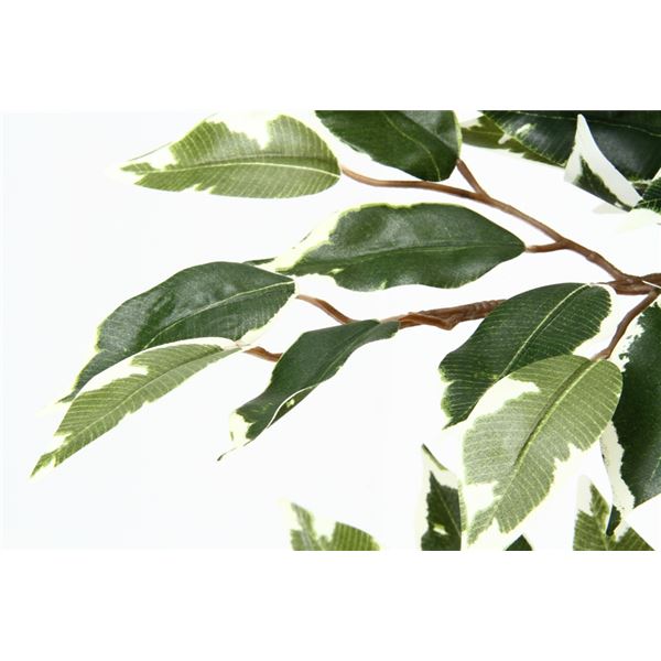観葉植物 造花 約幅90cm ショップ 1124 B お店 52664 リビング