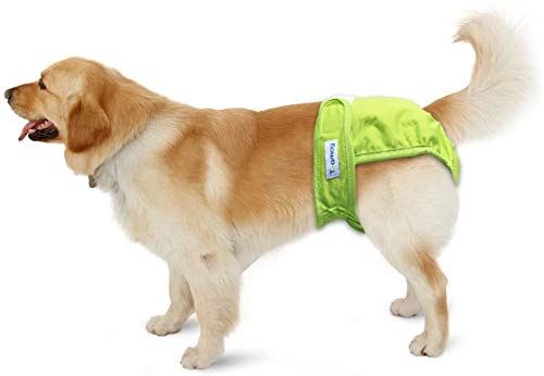 Teamoy 犬マナーベルト 4点セット 女の子用 メッシュ裏地 吸収層付き 防水加工生地 ウェストサイズ調整可能 生理 サニタリパンツ お漏らし対策 S 黒 緑 紫 ローズレッド S ウェスト23 38cm Ocrmglobal Com