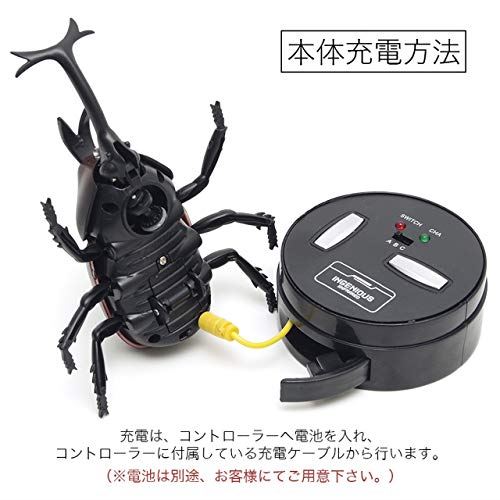 Goodsland リアル Gd Kuwaraji Hera B Rc かっこいい こども向け プレゼント ラジコン 子供 室内 操作 昆虫 甲虫 簡単 虫 赤外線 通信 新色 甲虫