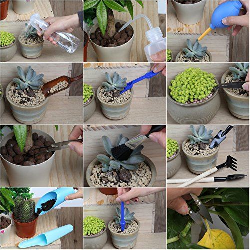 楽天市場 Lihao ガーデニングツール 多肉植物 寄せ植え スコップ T型 土ならしレーキ 園芸用移植ごて ハオルチア 観葉植物 園芸用品 15点セット T M Bストア 楽天市場 Lihao ガーデニングツール 多肉植物 寄せ植え スコップ T型 土ならしレーキ 園芸用移植ごて ハオルチア 観葉植物 園芸用品 15点セット T M Bストア